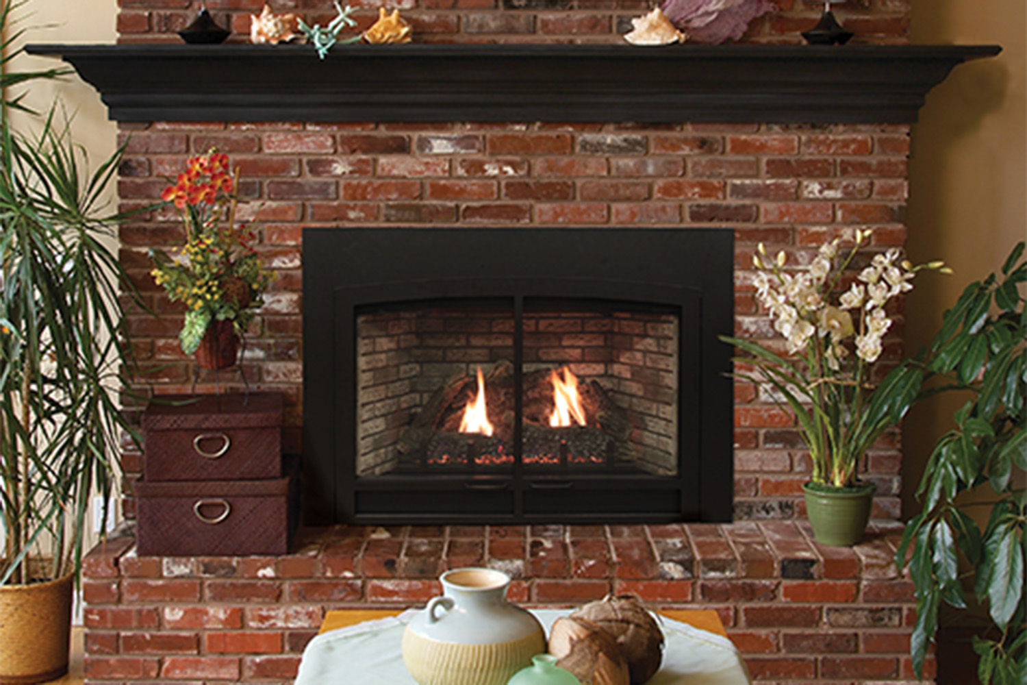 traditional gas fireplace insert
