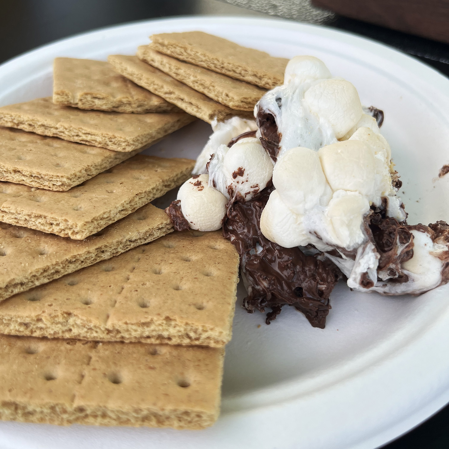Big Green Egg smores on a plate recipe from hungarian butcher